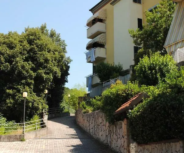Licy\'S House
